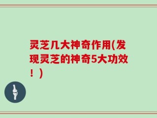 灵芝几大神奇作用(发现灵芝的神奇5大功效！)