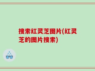 搜索红灵芝图片(红灵芝的图片搜索)