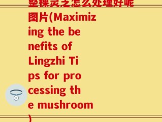 整棵灵芝怎么处理好呢图片(Maximizing the benefits of Lingzhi Tips for processing the mushroom)