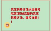 灵芝供奉方法大全图片欣赏(探秘完整的灵芝供奉方法，图片详解！)