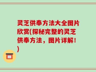 灵芝供奉方法大全图片欣赏(探秘完整的灵芝供奉方法，图片详解！)