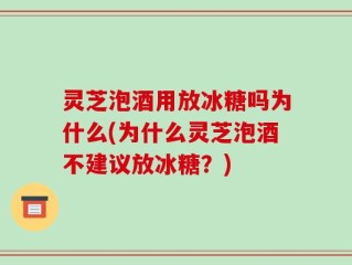 灵芝泡酒用放冰糖吗为什么(为什么灵芝泡酒不建议放冰糖？)