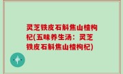 灵芝铁皮石斛焦山楂枸杞(五味养生汤：灵芝铁皮石斛焦山楂枸杞)