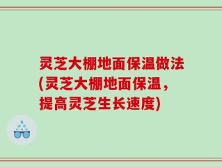 灵芝大棚地面保温做法(灵芝大棚地面保温，提高灵芝生长速度)