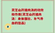 灵芝山药猪肉汤的功效和作用(灵芝山药猪肉汤：身体强壮、补气养血的佳品)