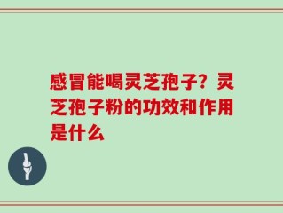 感冒能喝灵芝孢子？灵芝孢子粉的功效和作用是什么