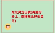 东北灵芝山货(再履行岭上，探秘东北野生灵芝)