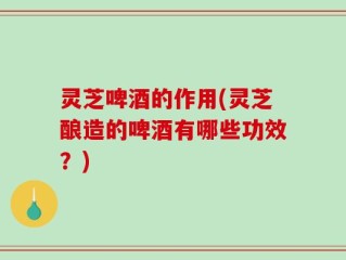 灵芝啤酒的作用(灵芝酿造的啤酒有哪些功效？)