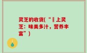 灵芝的收货(“頂上灵芝：味美多汁，营养丰富”)