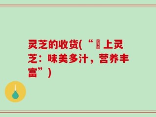 灵芝的收货(“頂上灵芝：味美多汁，营养丰富”)