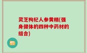 灵芝枸杞人参黄精(强身健体的四种中药材的组合)