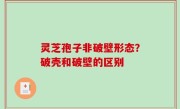 灵芝孢子非破壁形态？破壳和破壁的区别