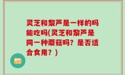 灵芝和黎芦是一样的吗能吃吗(灵芝和黎芦是同一种蘑菇吗？是否适合食用？)
