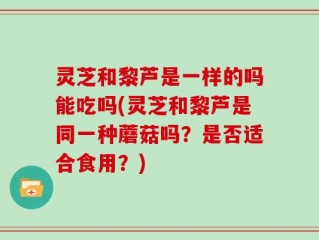 灵芝和黎芦是一样的吗能吃吗(灵芝和黎芦是同一种蘑菇吗？是否适合食用？)