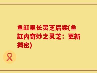 鱼缸里长灵芝后续(鱼缸内奇妙之灵芝：更新揭密)