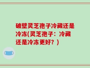 破壁灵芝孢子冷藏还是冷冻(灵芝孢子：冷藏还是冷冻更好？)
