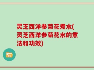 灵芝西洋参菊花煮水(灵芝西洋参菊花水的煮法和功效)