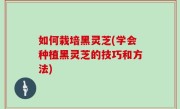 如何栽培黑灵芝(学会种植黑灵芝的技巧和方法)
