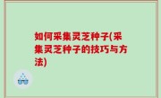 如何采集灵芝种子(采集灵芝种子的技巧与方法)