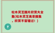 松木灵芝图片欣赏大全集(松木灵芝美景图集，欣赏不容错过！)