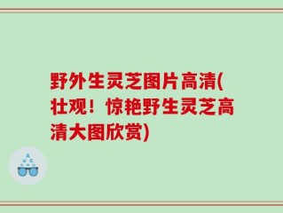 野外生灵芝图片高清(壮观！惊艳野生灵芝高清大图欣赏)