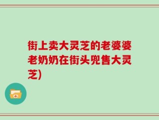 街上卖大灵芝的老婆婆老奶奶在街头兜售大灵芝)