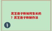 灵芝孢子粉如何生长的？灵芝孢子粉制作法
