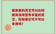 簸箕里的灵芝可以吃吗簸箕发现营养丰富的灵芝，你知道它可不可以食用吗？
