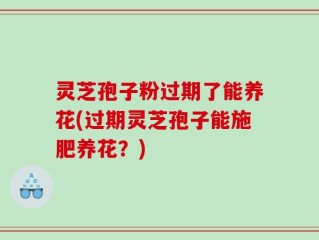 灵芝孢子粉过期了能养花(过期灵芝孢子能施肥养花？)