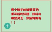 哪个牌子的破壁灵芝(重写后的标题：挂科山破壁灵芝，你值得拥有！)