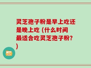 灵芝孢子粉是早上吃还是晚上吃 (什么时间最适合吃灵芝孢子粉？)