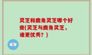 灵芝和鹿角灵芝哪个好些(灵芝与鹿角灵芝，谁更优秀？)