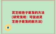 灵芝担孢子萌发的方法(研究发现：可促进灵芝孢子萌发的新方法)