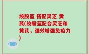 绞股蓝 搭配灵芝 黄芪(绞股蓝配合灵芝和黄芪，强效增强免疫力)