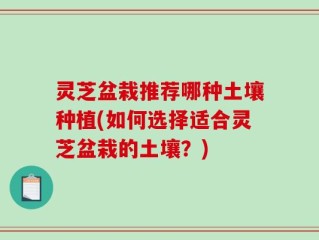 灵芝盆栽推荐哪种土壤种植(如何选择适合灵芝盆栽的土壤？)