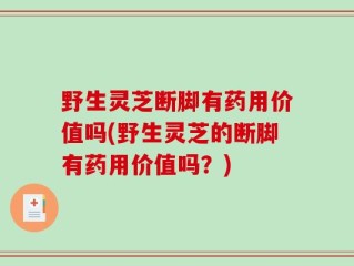 野生灵芝断脚有药用价值吗(野生灵芝的断脚有药用价值吗？)