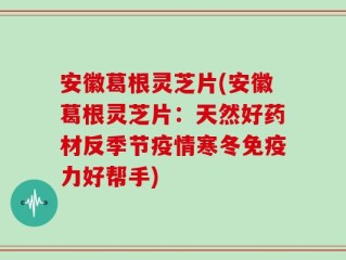 安徽葛根灵芝片(安徽葛根灵芝片：天然好药材反季节疫情寒冬免疫力好帮手)