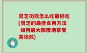 灵芝功效怎么吃最好吃(灵芝的最佳食用方法 如何最大限度地享受其功效)