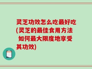 灵芝功效怎么吃最好吃(灵芝的最佳食用方法 如何最大限度地享受其功效)