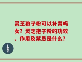 灵芝孢子粉可以补肾吗女？灵芝孢子粉的功效、作用及禁忌是什么？