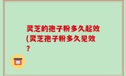 灵芝的孢子粉多久起效(灵芝孢子粉多久见效？