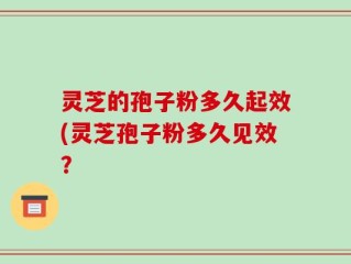 灵芝的孢子粉多久起效(灵芝孢子粉多久见效？