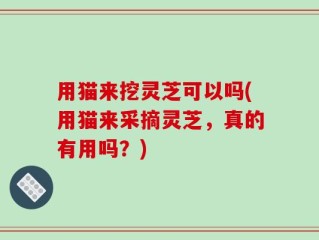 用猫来挖灵芝可以吗(用猫来采摘灵芝，真的有用吗？)