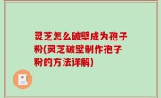 灵芝怎么破壁成为孢子粉(灵芝破壁制作孢子粉的方法详解)