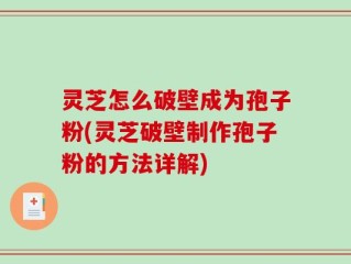 灵芝怎么破壁成为孢子粉(灵芝破壁制作孢子粉的方法详解)