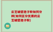 云芝破壁孢子粉如何分辨(如何区分优质的云芝破壁孢子粉)