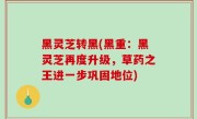 黑灵芝转黑(黑重：黑灵芝再度升级，草药之王进一步巩固地位)