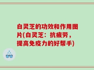 白灵芝的功效和作用图片(白灵芝：抗疲劳，提高免疫力的好帮手)