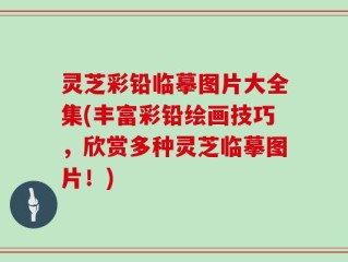 灵芝彩铅临摹图片大全集(丰富彩铅绘画技巧，欣赏多种灵芝临摹图片！)