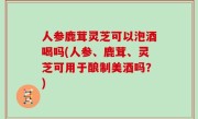 人参鹿茸灵芝可以泡酒喝吗(人参、鹿茸、灵芝可用于酿制美酒吗？)